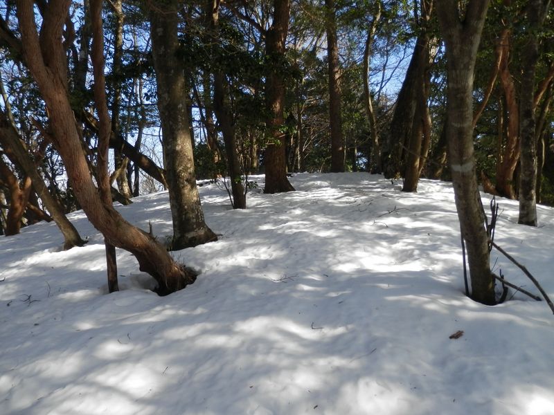 きょうは栂立ノ頭まで