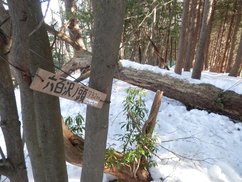 六百沢ノ頭からは、真北に下る