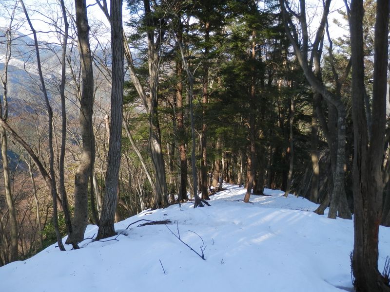 左後ろから西日を受ける