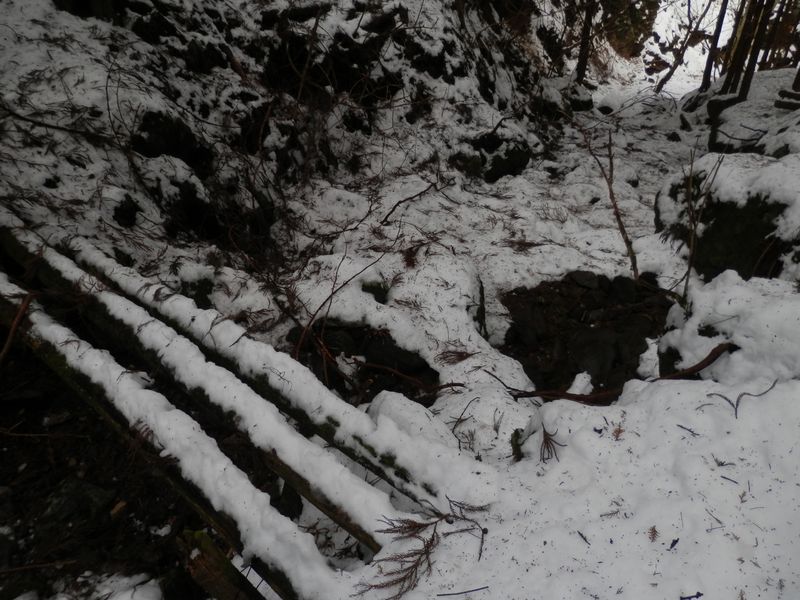 間違えて下った作業道