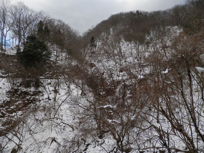 金沢林道にどう上がろうか