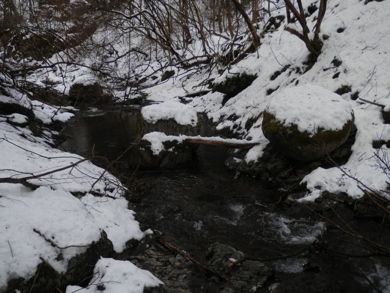 金沢を渡渉する