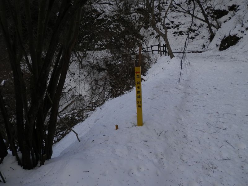 金沢林道に上がった