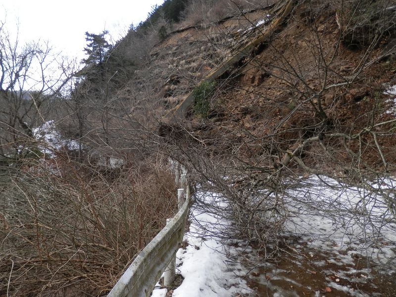 金沢林道の法面が崩落