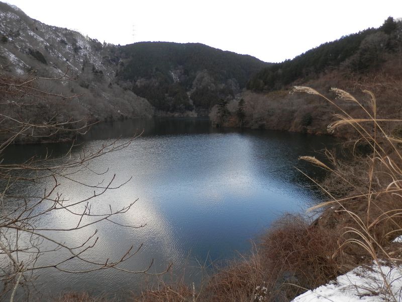 空が水面に青く映った