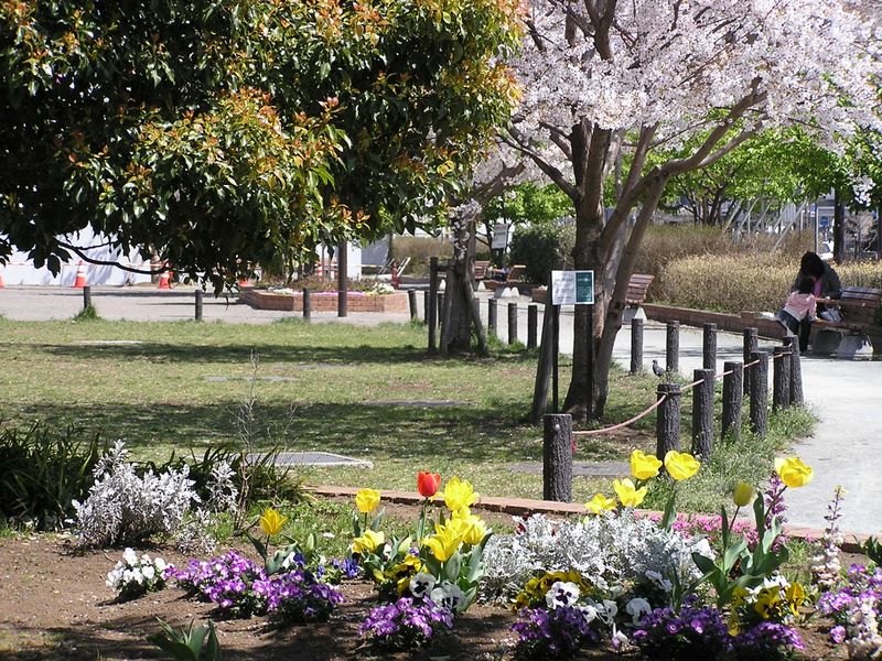 城山と津久井湖 -- 橋本公園