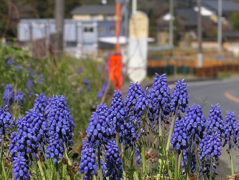 城山と津久井湖 -- 城山登山口バス停