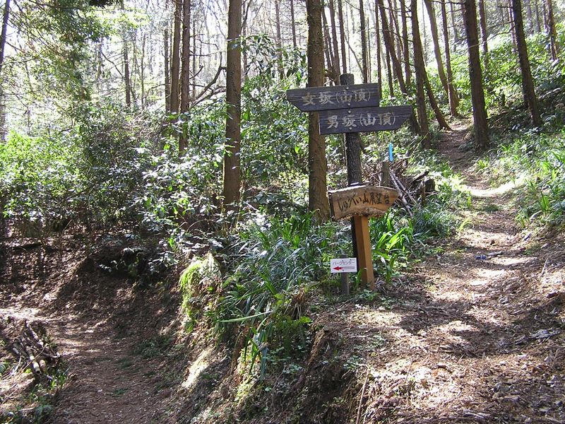 城山と津久井湖 -- 男坂と女坂の分岐
