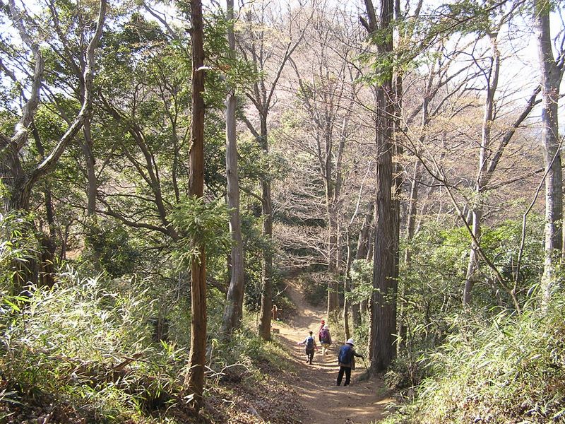 城山と津久井湖 -- 城山山頂まであと少し