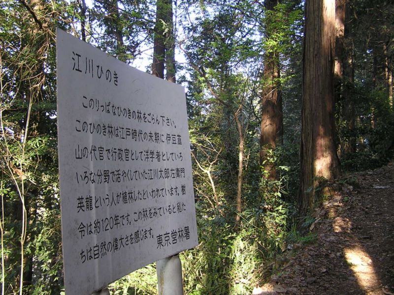 城山と津久井湖 -- 江川ひのき
