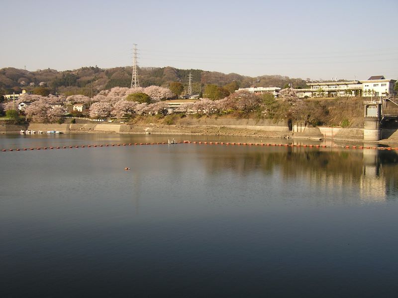 城山と津久井湖 -- 津久井湖と城山高校