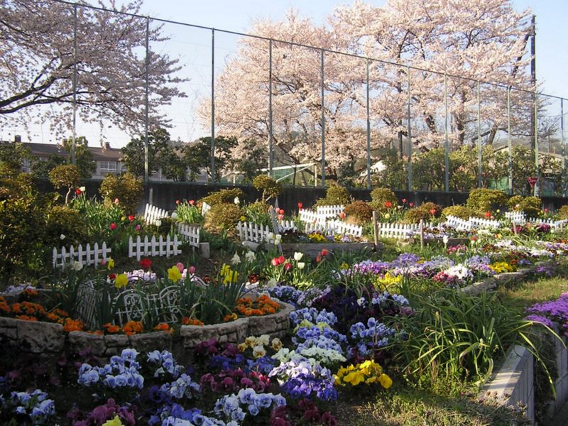 城山と津久井湖 -- 城山高校前の花壇で橋本駅行きのバスを待つ