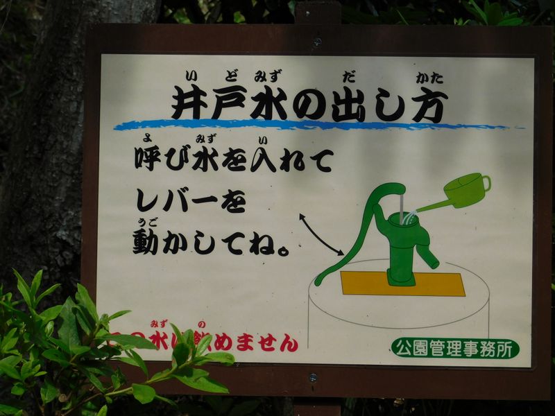 井戸水の出し方