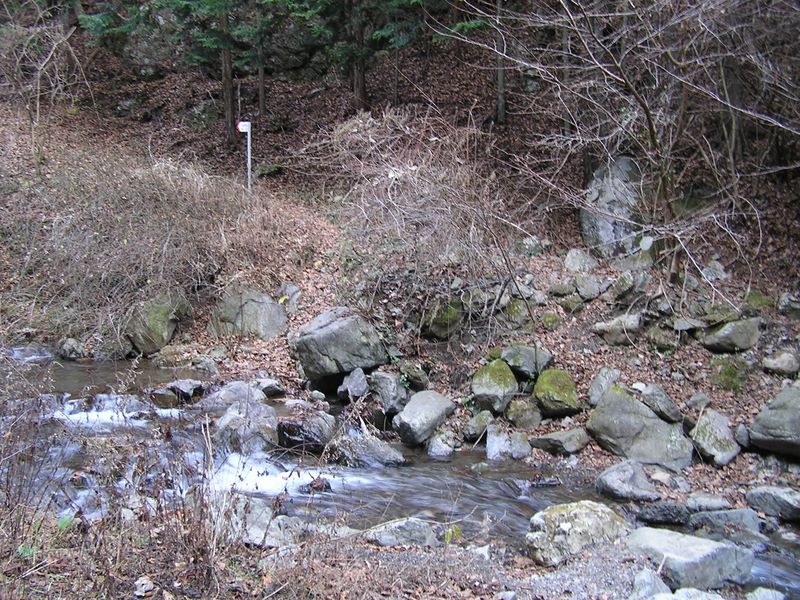 林道はここで終わり、船橋沢を一旦左岸に渡る