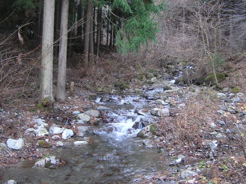 船橋沢の右岸に渡り返す