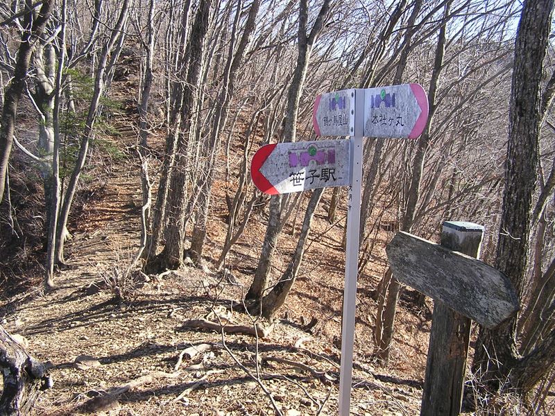 主稜線上に至る（ヤグラ跡分岐点）