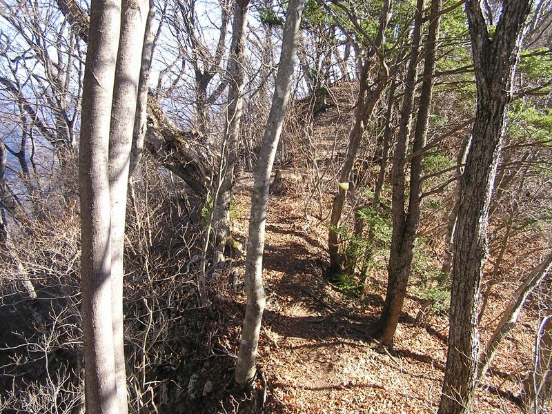 鶴ヶ鳥屋山に向かって東に主稜線上を進む
