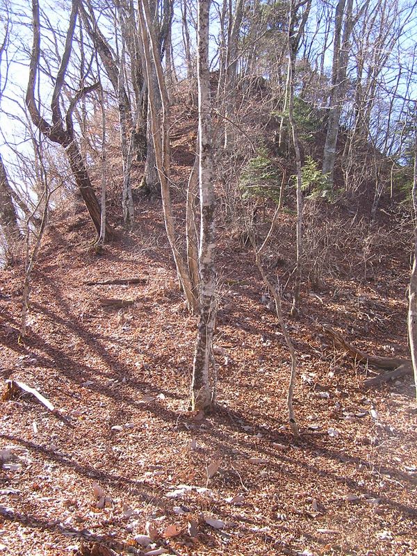 鶴ヶ鳥屋山に至る前にまだ小ピークがある