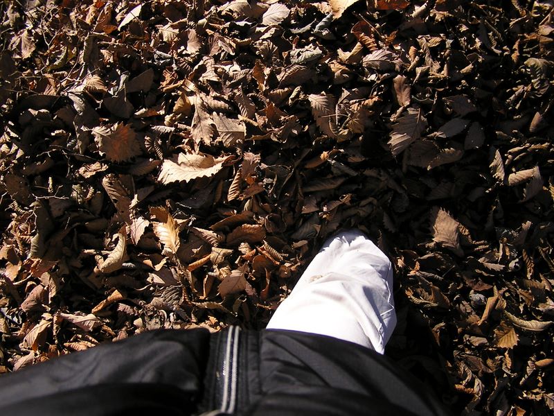 落ち葉に足が沈む