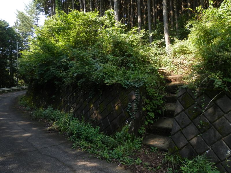 築瀬尾根取り付き