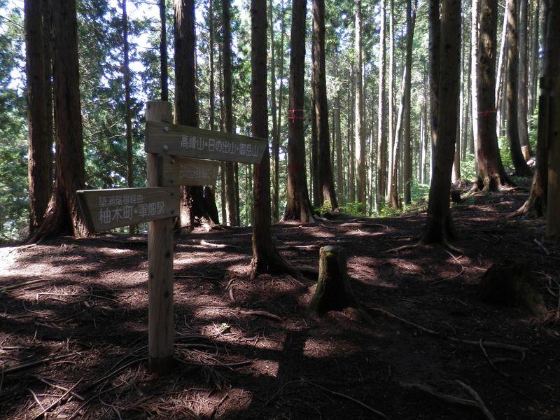 吉野梅郷からの尾根を合わせる