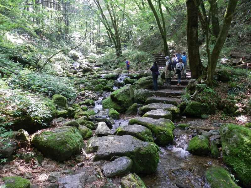 ロックガーデン遊歩道