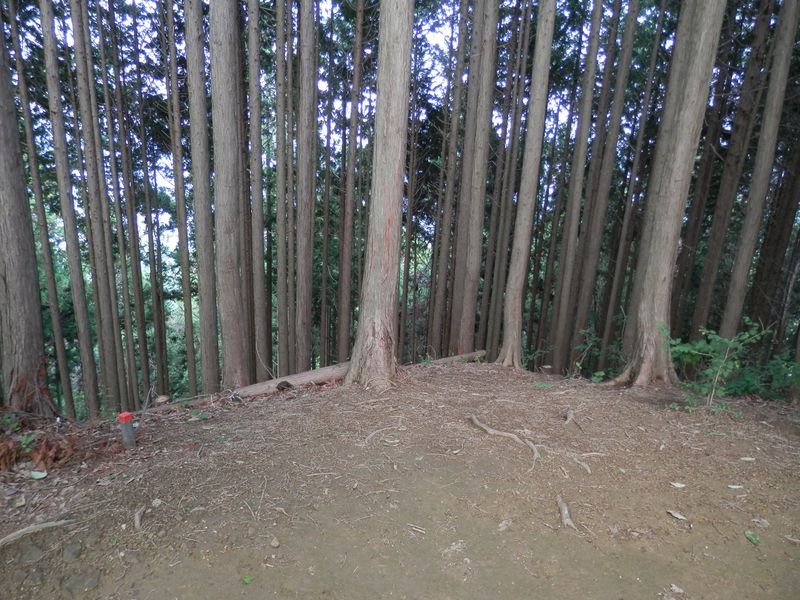 境界尾根と丹三郎尾根の分岐点