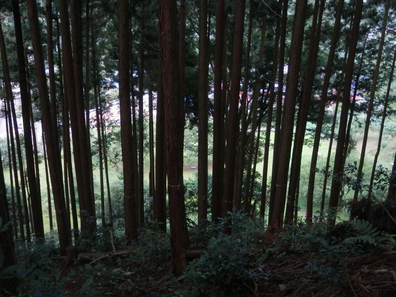 境界尾根 -- まもなく終点