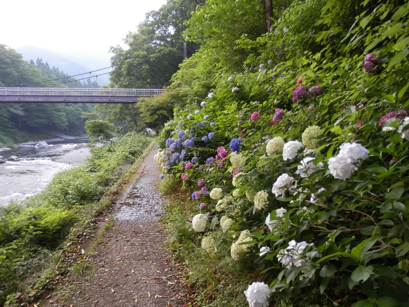 御岳渓谷遊歩道より、神路橋を振り返る