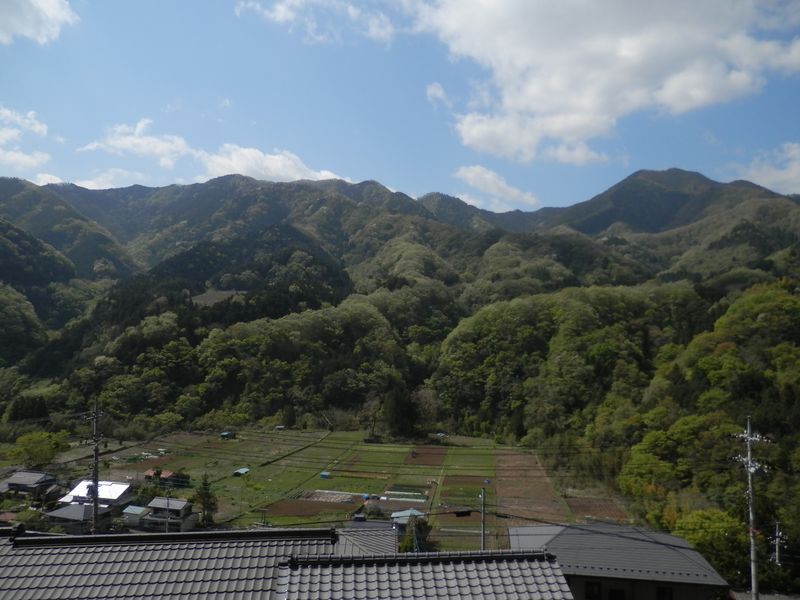 墓地から倉岳山（右）と秋山山稜を望む
