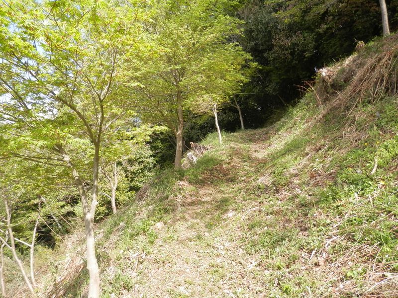 墓地の上に続く道