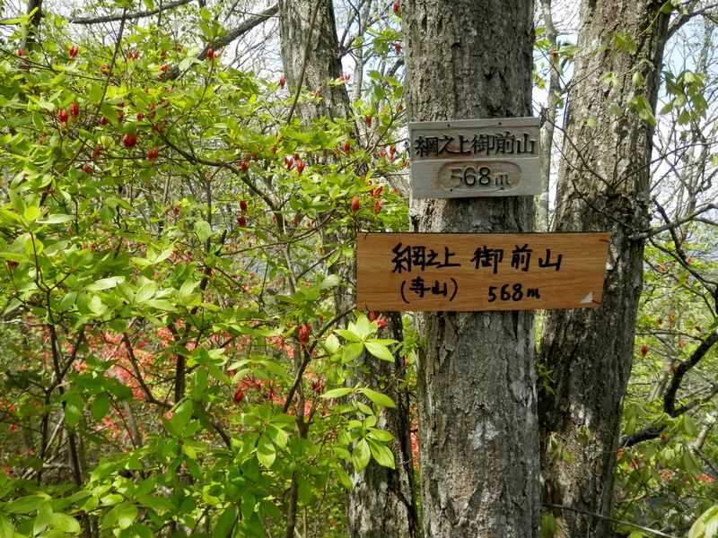 寺山という名もある綱之上御前山