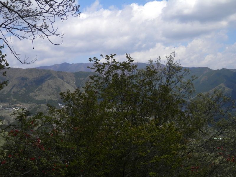 綱之上御前山より、権現山稜を望む