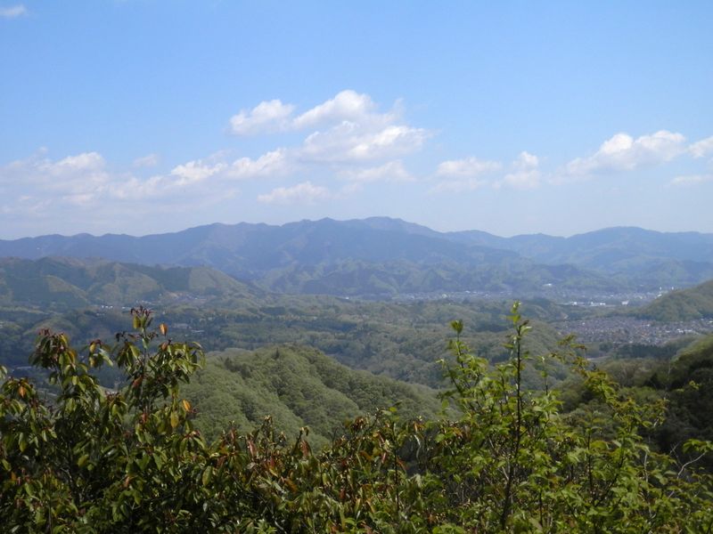 綱之上御前山より、笹尾根を望む