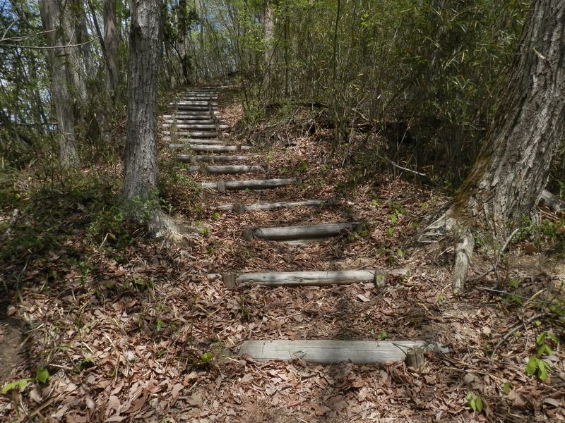 大野貯水池周辺登山道