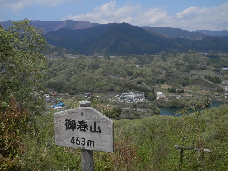 p4196717.jpg (large)