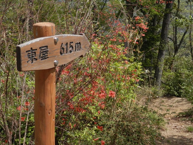 それでは、下山しよう