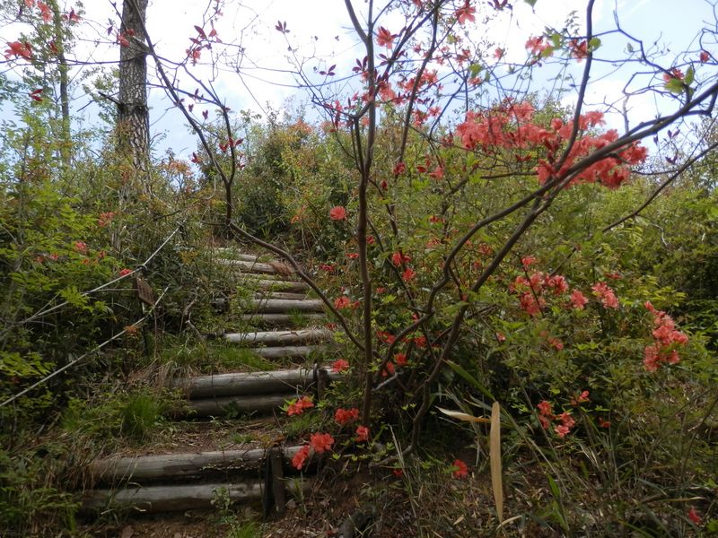 その前にもう一峰（郷司山）