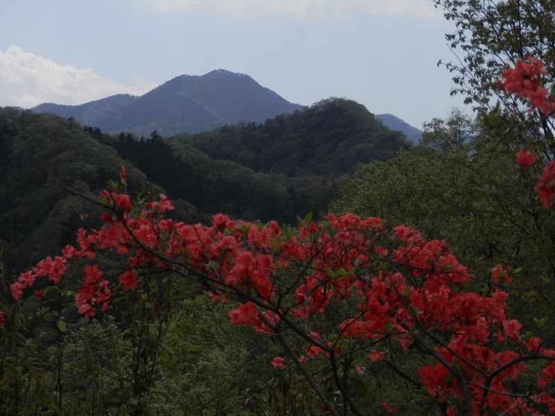 郷司山より、綱之上御前山と倉岳山