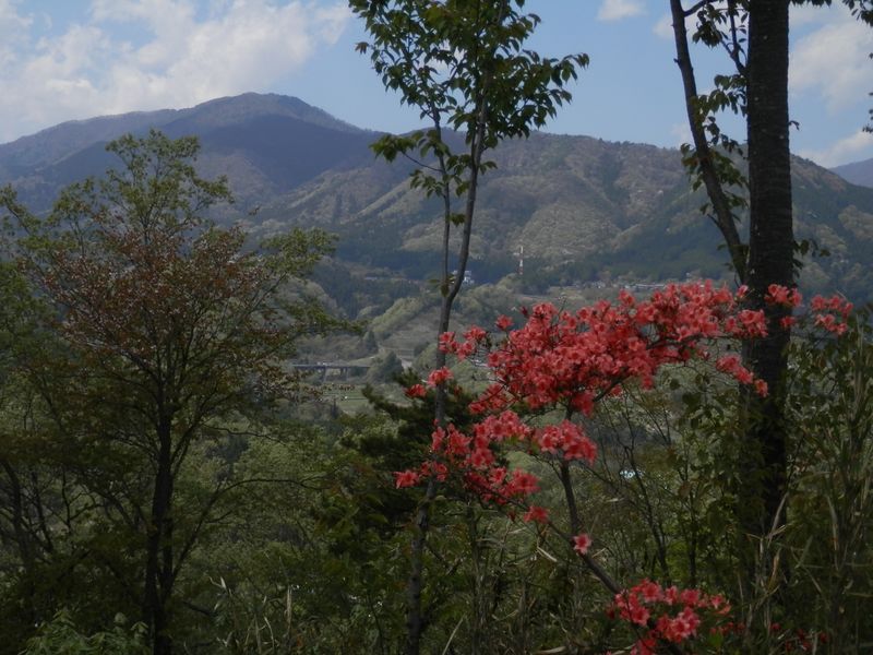 郷司山より、扇山を望む