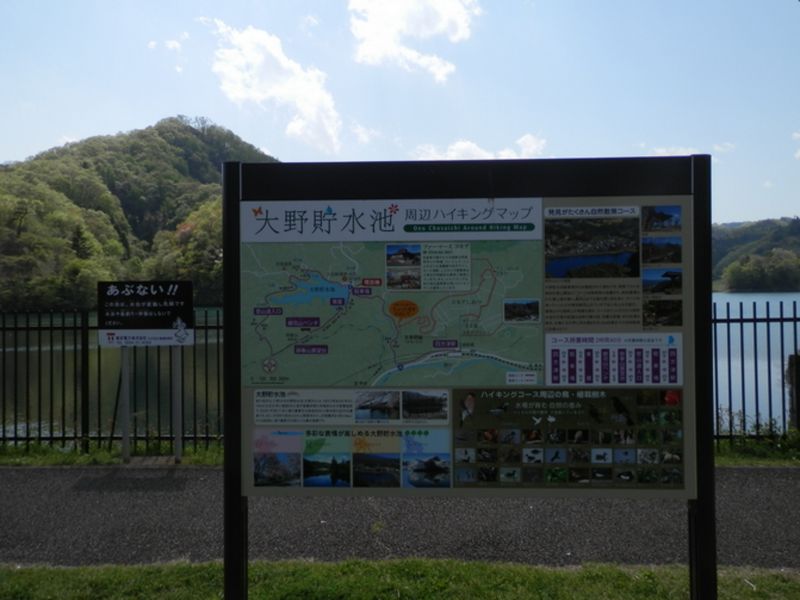 大野貯水池には、多種の野鳥が来るらしい