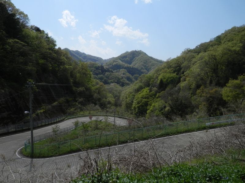 いろは坂のような道を上って