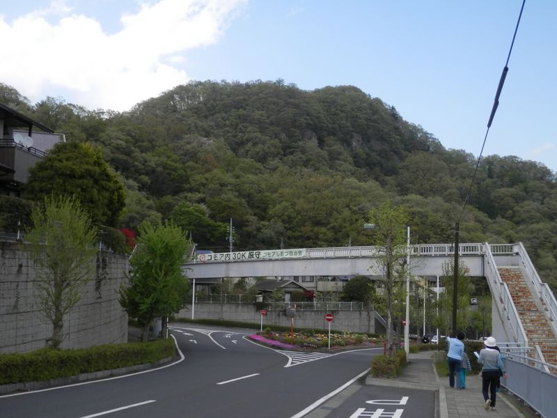 四方津御前山は、眺めるだけ