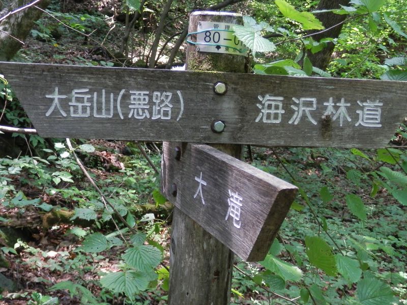 大岳山へ暑い尾根を登る気にはならなかった
