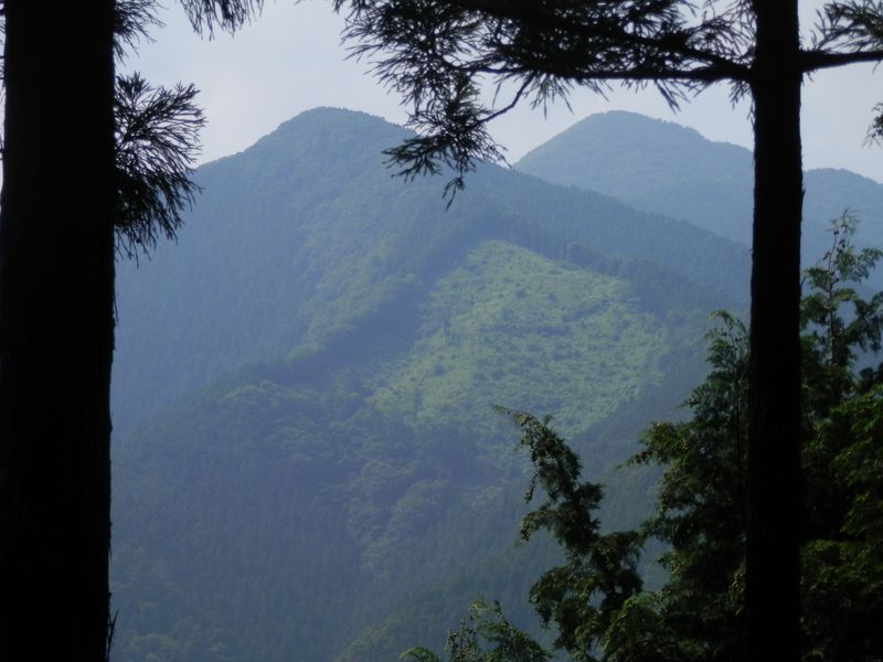 鳩ノ巣城山の北尾根より、本仁田山を望む