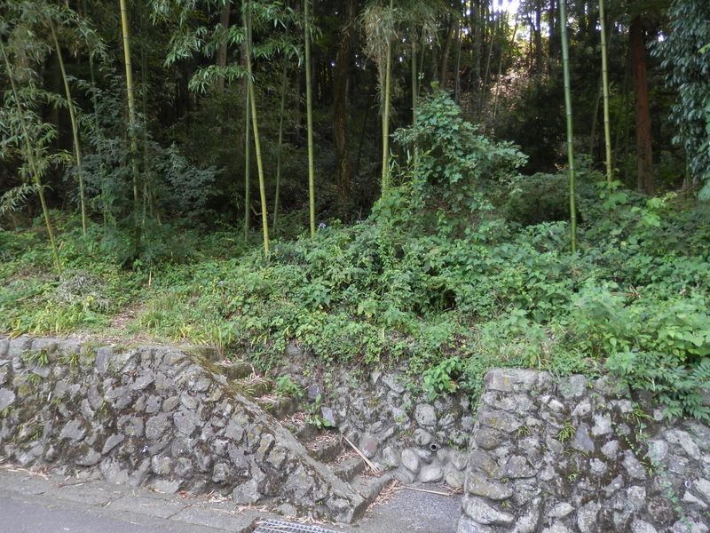 鳩ノ巣城山の取り付き