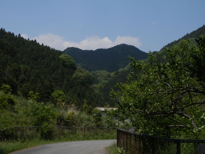 正面は、高ドッケか？