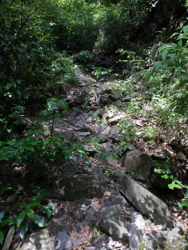 水は無いけど、沢登りに近い道