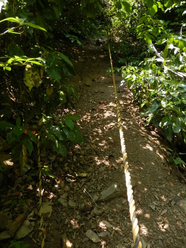 ロープや鎖が設置されている。