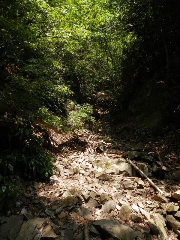 再び急な谷間を登る